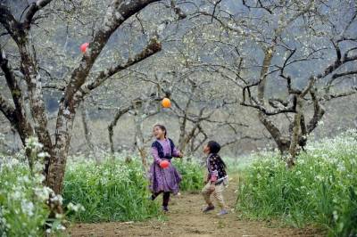 CAO NGUYÊN TRẮNG BẮC HÀ