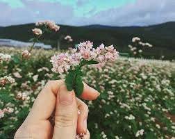 HÀ GIANG - ĐỒNG VĂN - CỘT CỜ  LŨNG CÚ - SÔNG NHO QUẾ