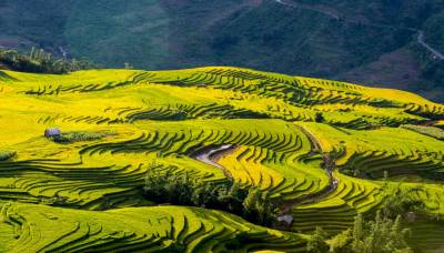 LÀO CAI: SAPA – Y TÝ