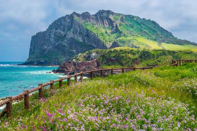 KHÁM PHÁ VẺ ĐẸP ĐẢO JEJU
