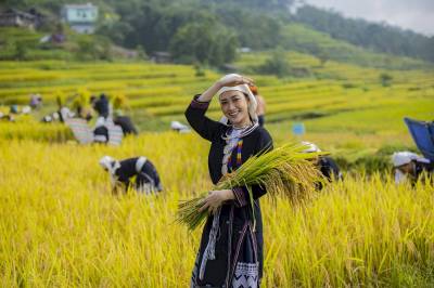LÒNG HỒ NA HANG – HỒNG THÁI MÙA LÚA CHÍN