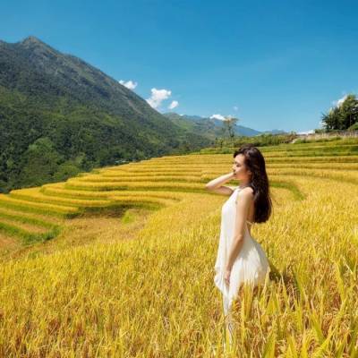 MÙA VÀNG SAPA: HÀ NỘI – TẢ VAN – LAO CHẢI – FANSIPAN – BẢN CÁT CÁT