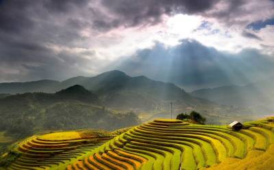 BẮC QUANG – XÍN MẦN – HOÀNG SU PHÌ MÙA LÚA CHÍN