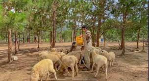 ĐÀ LẠT: SỞ THÚ ZOODOO