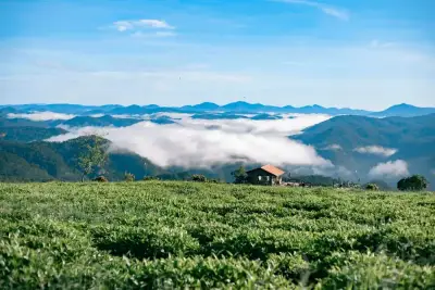ĐÀ LẠT: TOUR SĂN MÂY